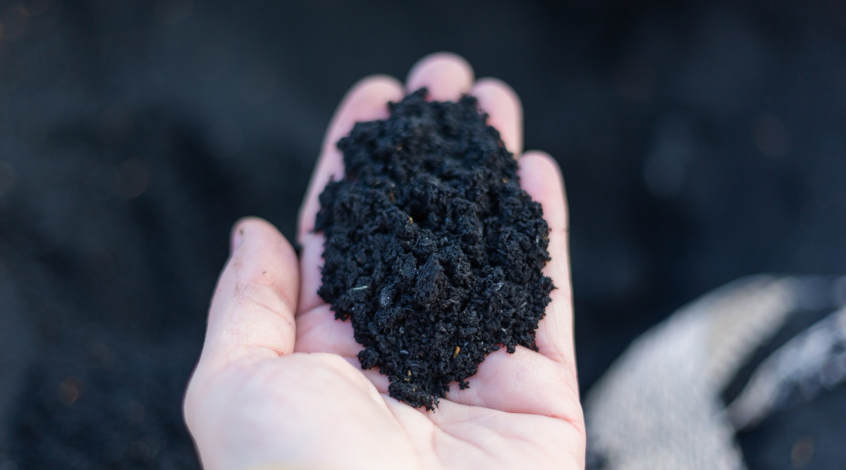 A hand proudly displays a handful of black, organic composted soil. Its texture is crumbly and dark, a testament to its nutrient-rich composition, perfect for nourishing plants and promoting healthy growth.