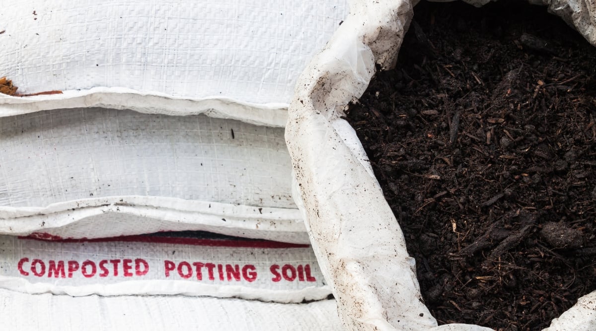 White sacks of composted potting soil stacked; one open sack reveals a rich blend of dark soil and organic compost. The potting soil exudes a dark, nutrient-rich texture, interspersed with decomposed matter, ideal for planting and nourishing growth.
