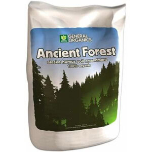 Ancient Forest Humus