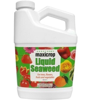 Maxicrop Liquid Seaweed