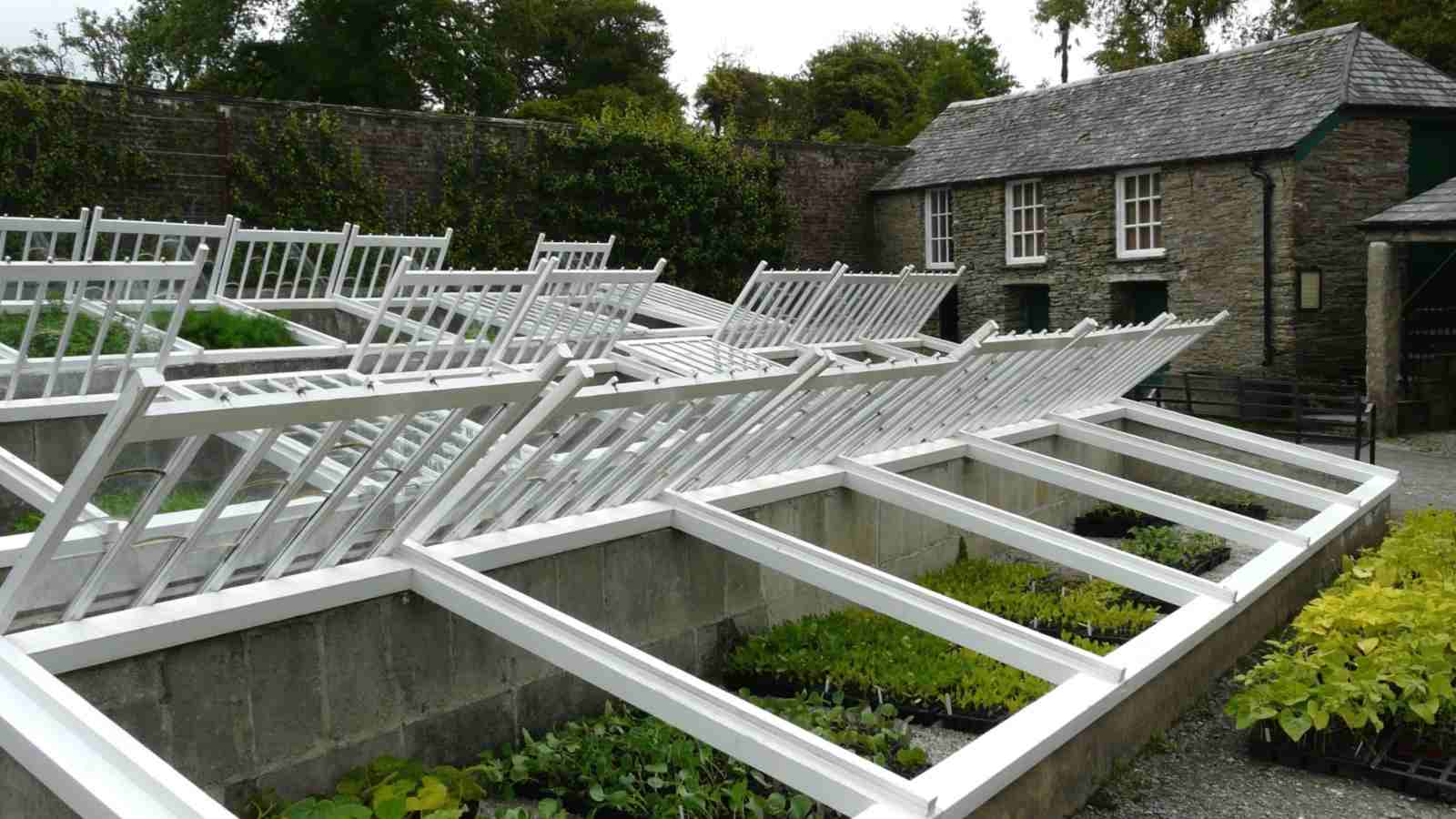 Close up of traditional cold frame for wintering plants